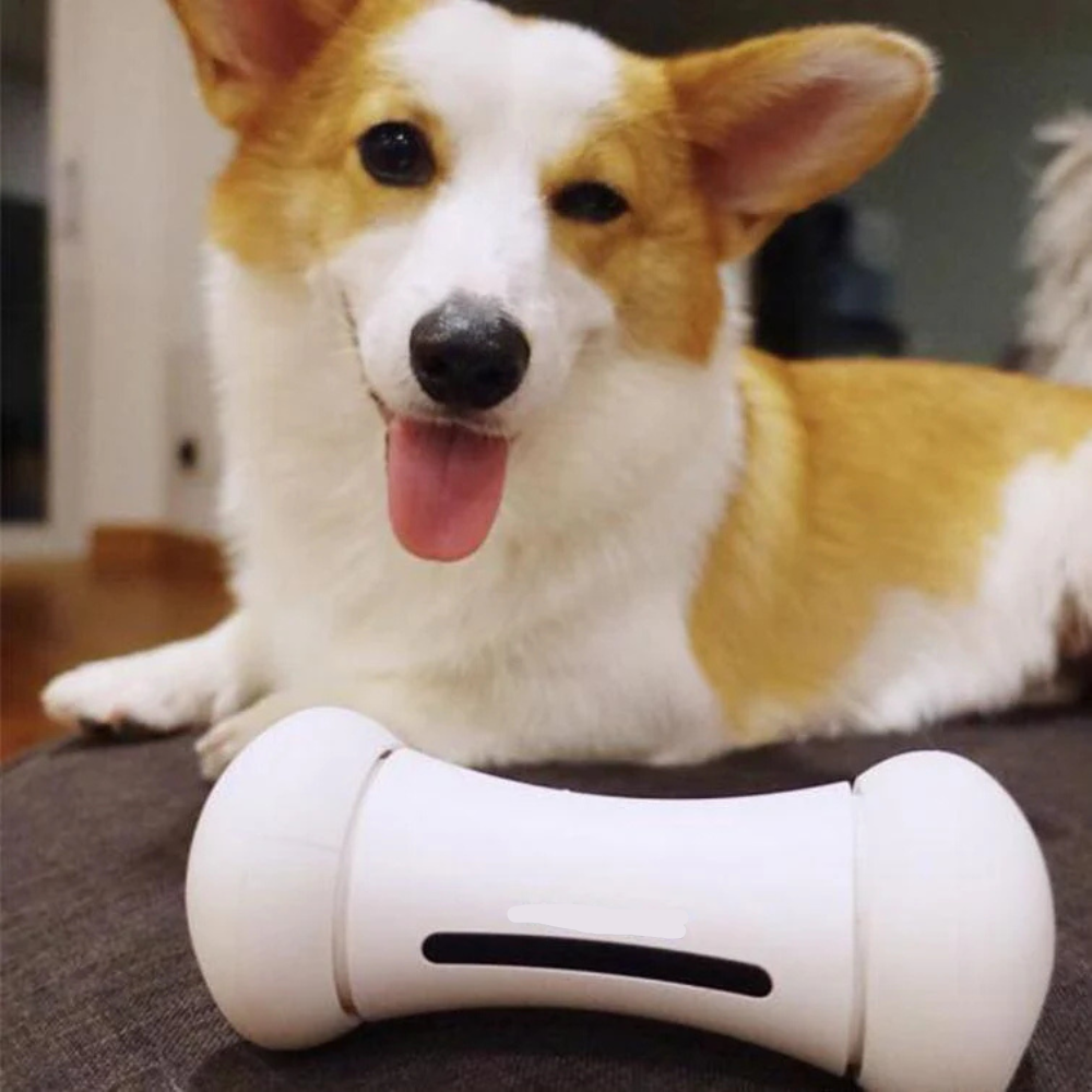 Pawvera™ Bone Rush – Smart Pet Toy