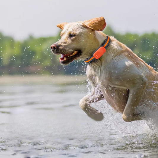 Pawvera™ Smart Safe – Waterproof Pet Tracker