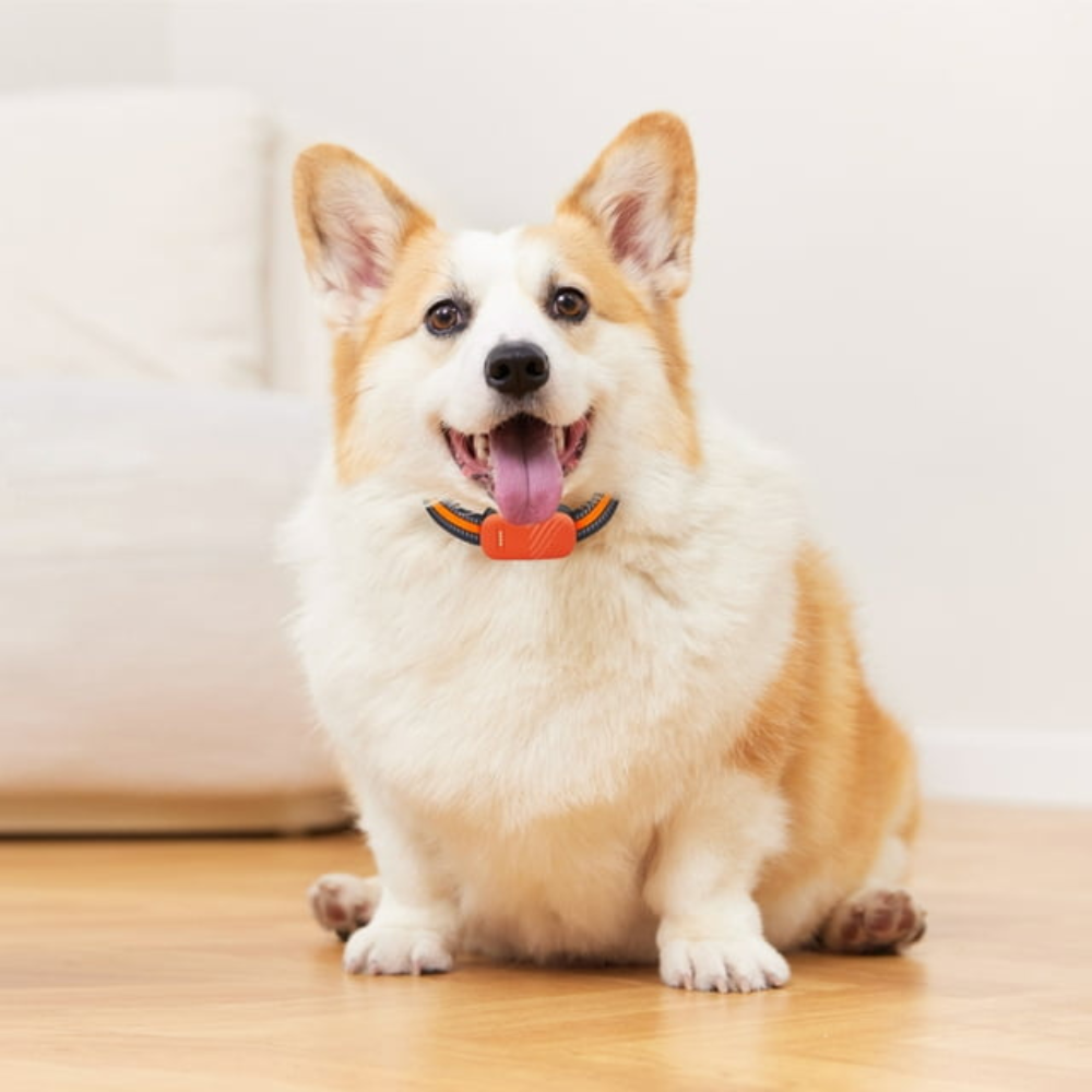 Smart Safe Waterproof Pet Tracker GPS Device For Dogs And Cats