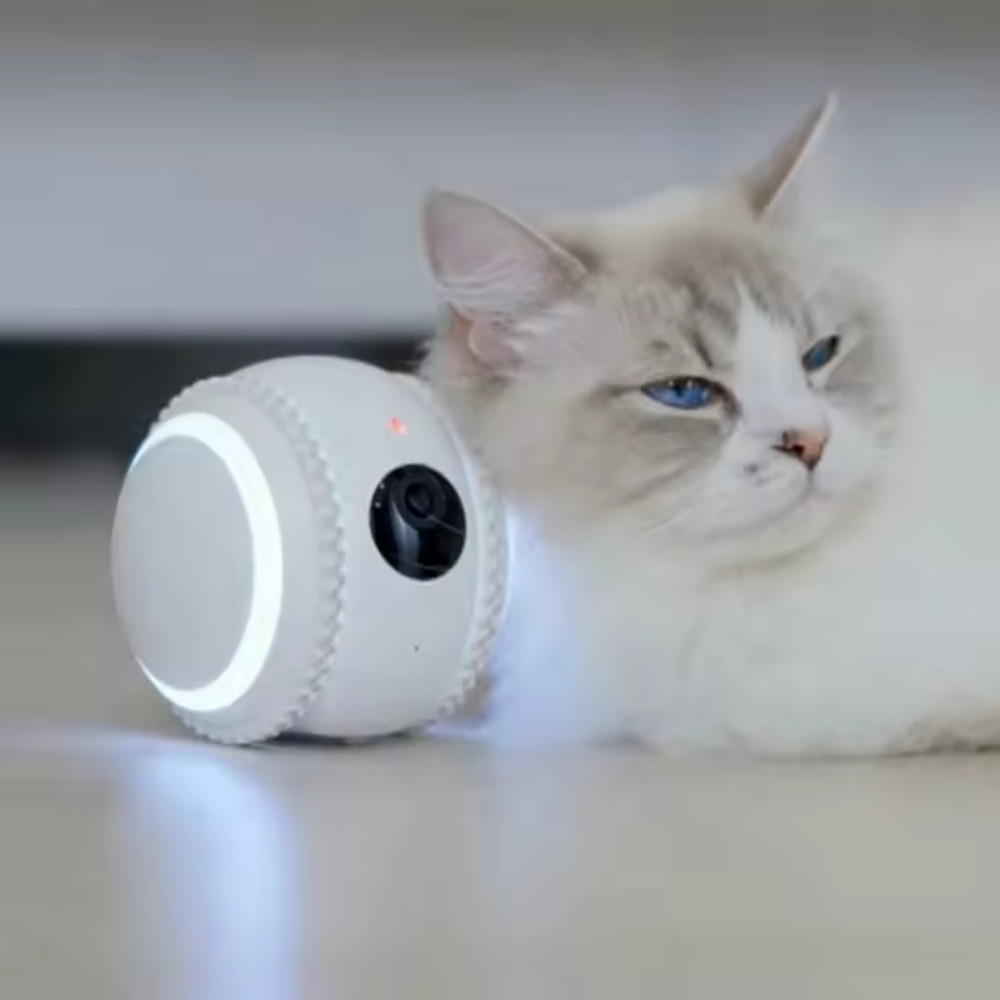 Pawvera™ Kitty Sense – Smart Cat Monitor