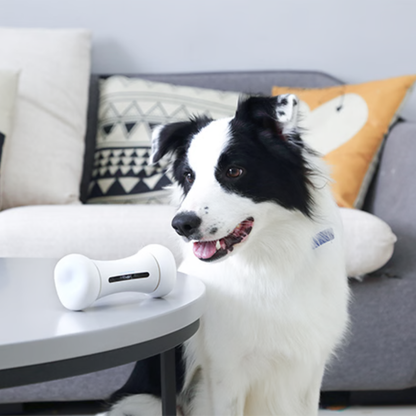 Pawvera™ Bone Rush – Smart Pet Toy