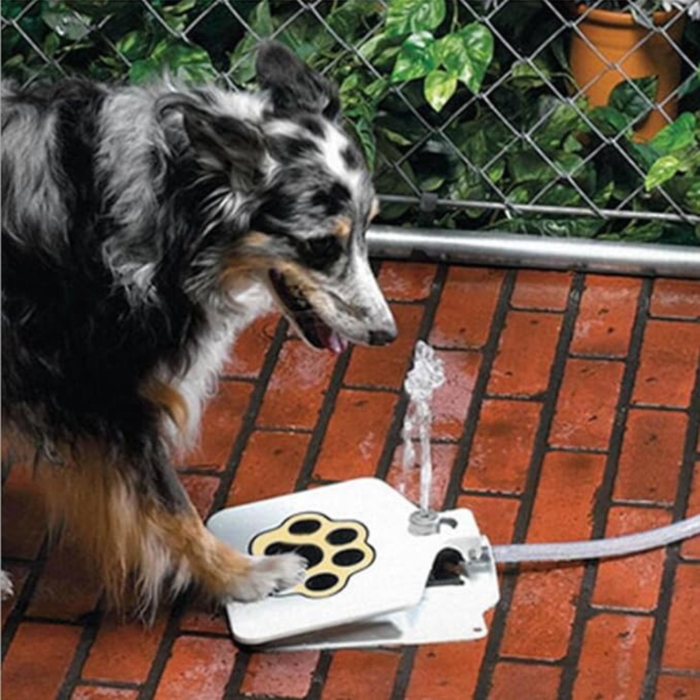 Pawvera™ Water Feeder – Outdoor Pet Fountain