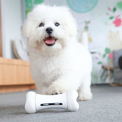 Pawvera™ Bone Rush – Smart Pet Toy