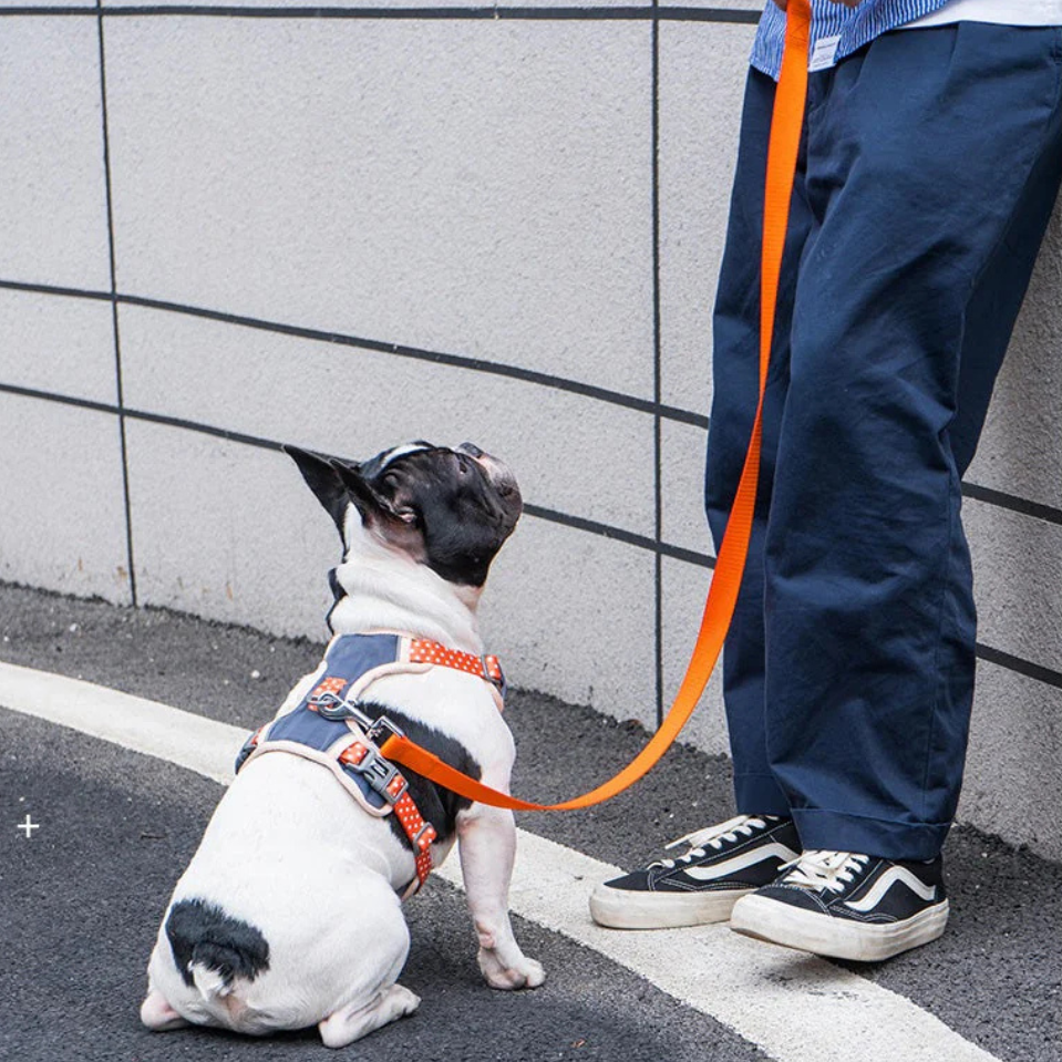 Pawvera™ Soft Harness – Dog Chest Strap