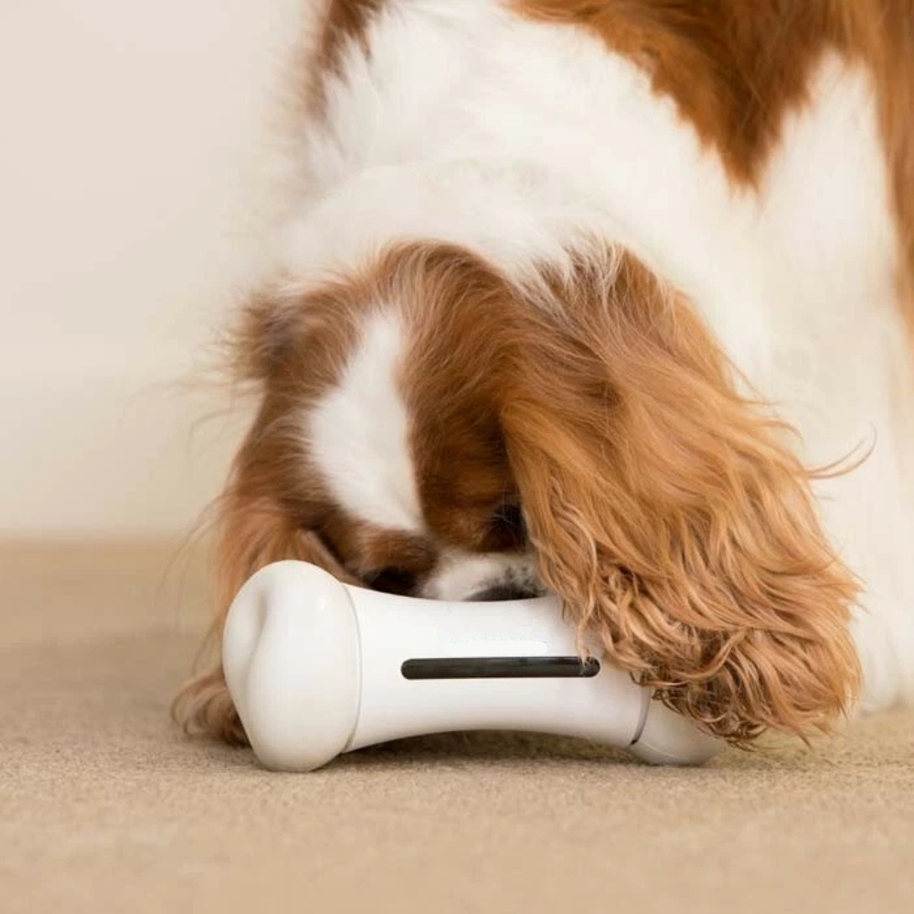 Pawvera™ Bone Rush – Smart Pet Toy