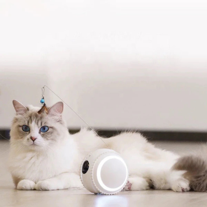Pawvera™ Kitty Sense – Smart Cat Monitor