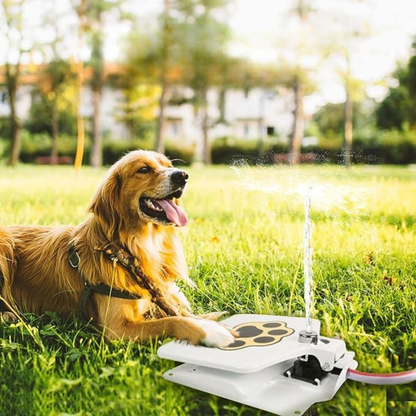 Pawvera™ Water Feeder – Outdoor Pet Fountain