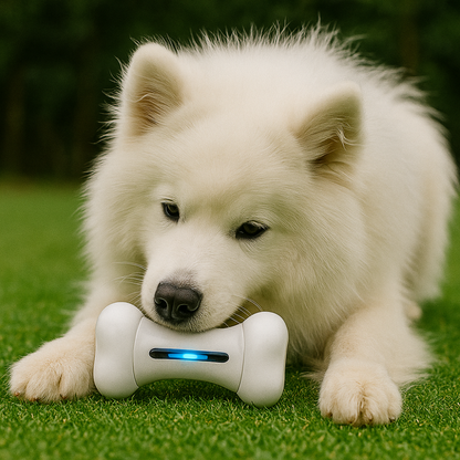 Pawvera™ Bone Rush – Smart Pet Toy