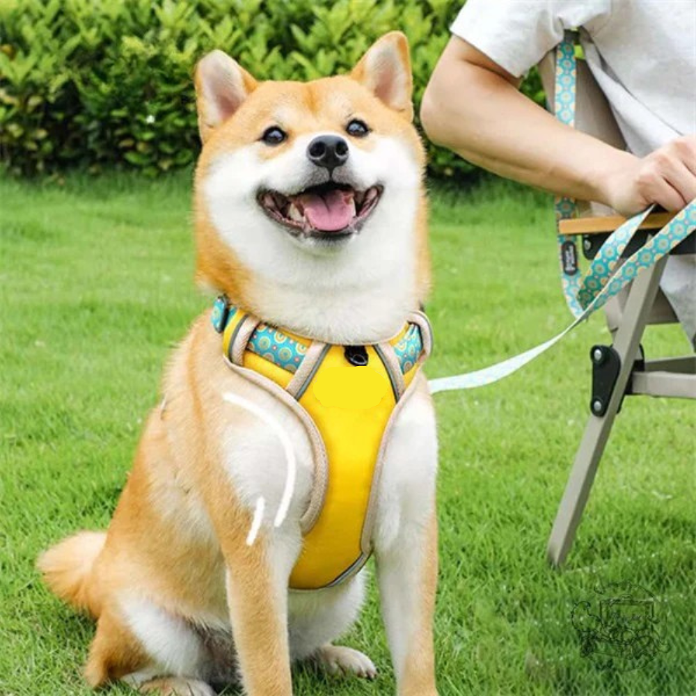 Pawvera™ Soft Harness – Dog Chest Strap