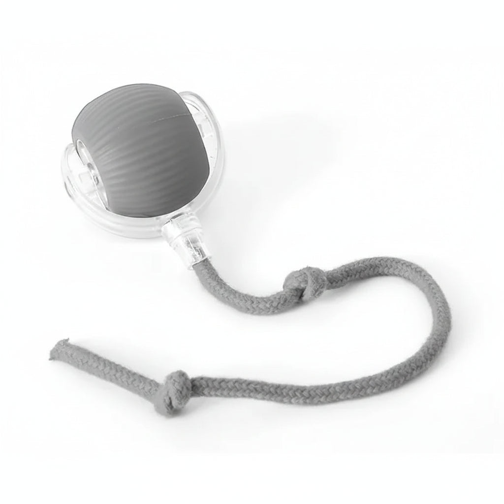 ALEF Purr Play Motion Ball