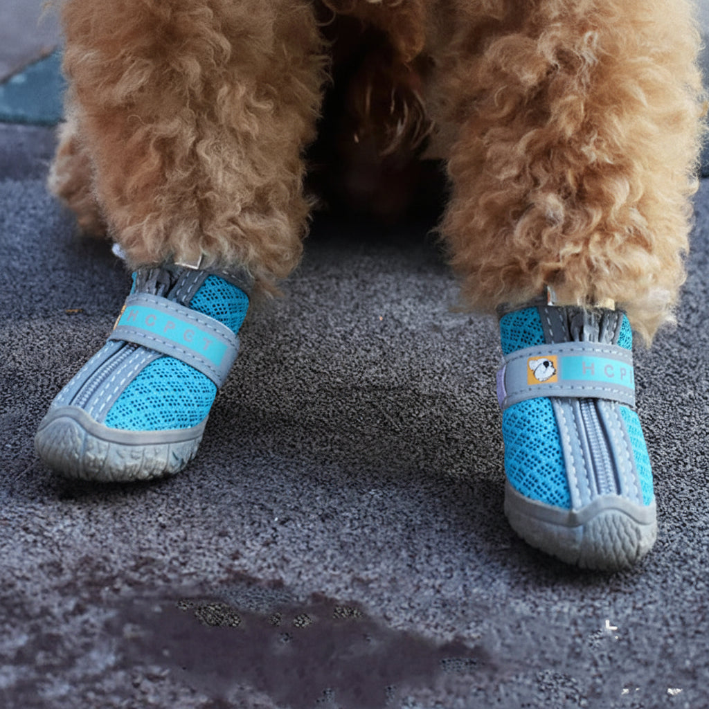 ALEF Premium Dog Boots