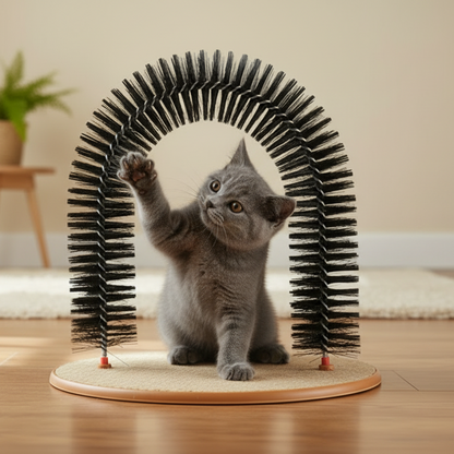 ALEF Feline Fun & Groom Arch