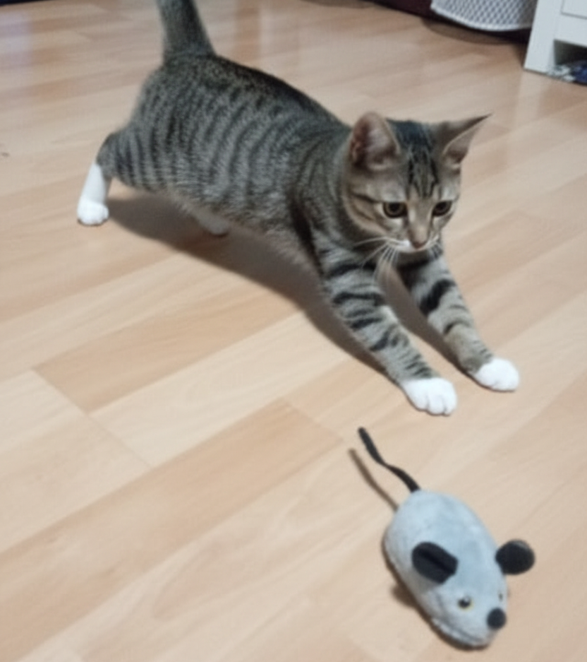 ALEF RC Cat Chaser Mouse