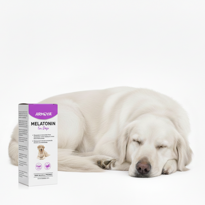 ALEF Calm Melatonin - Stress Relief for Dogs & Cats